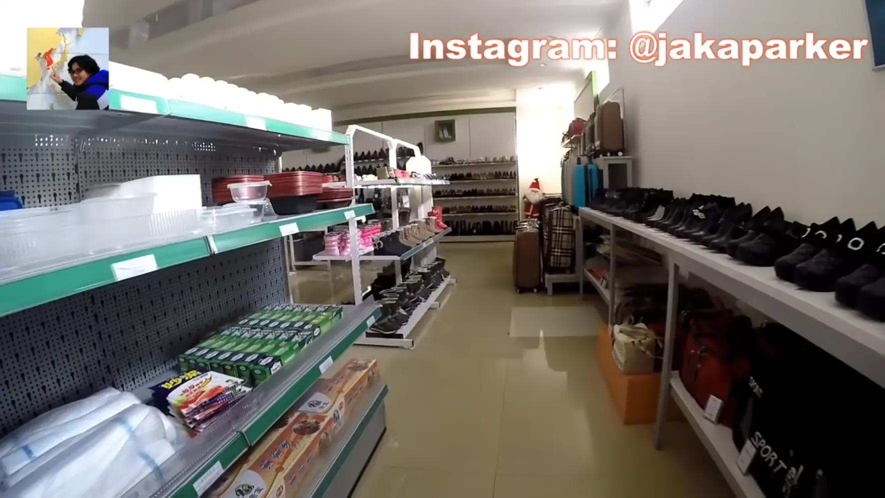 Screenshot of a video from Jaka Parker showing very lightly furbished shelves